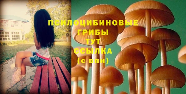 каннабис Арсеньев