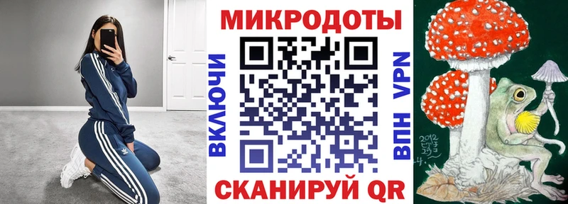 Псилоцибиновые грибы мицелий  omg онион  Суджа 